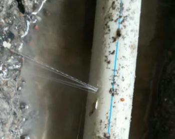 靖远卫生间测漏水多少钱