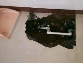 靖远卫生间测漏水多少钱